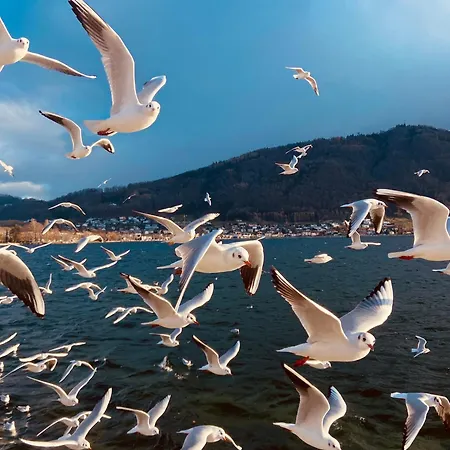 Marktplatz-residenz - 110 M Vom Traunsee Διαμέρισμα